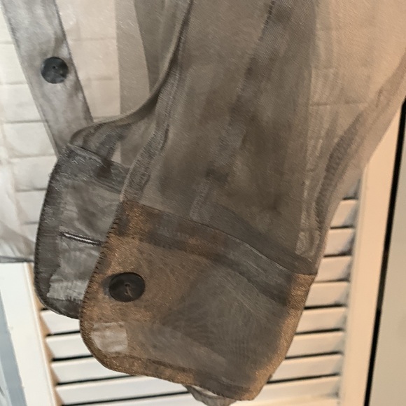 The Limited Sheer Blouse - Picture 4 of 5